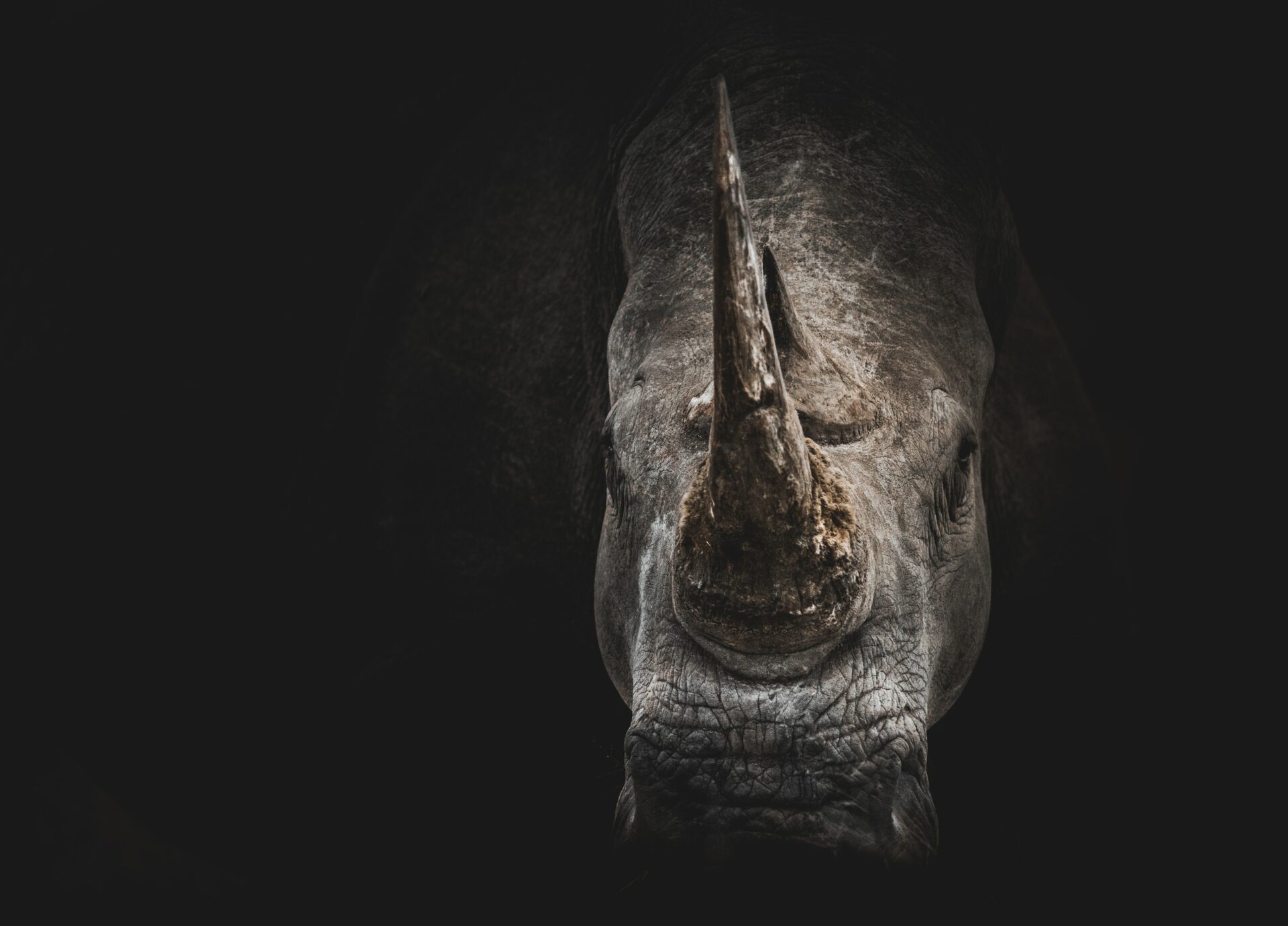 https://home.horasis.org/wp-content/uploads/2021/03/geran-de-klerk-KsMD_tAdjg0-unsplash.jpg