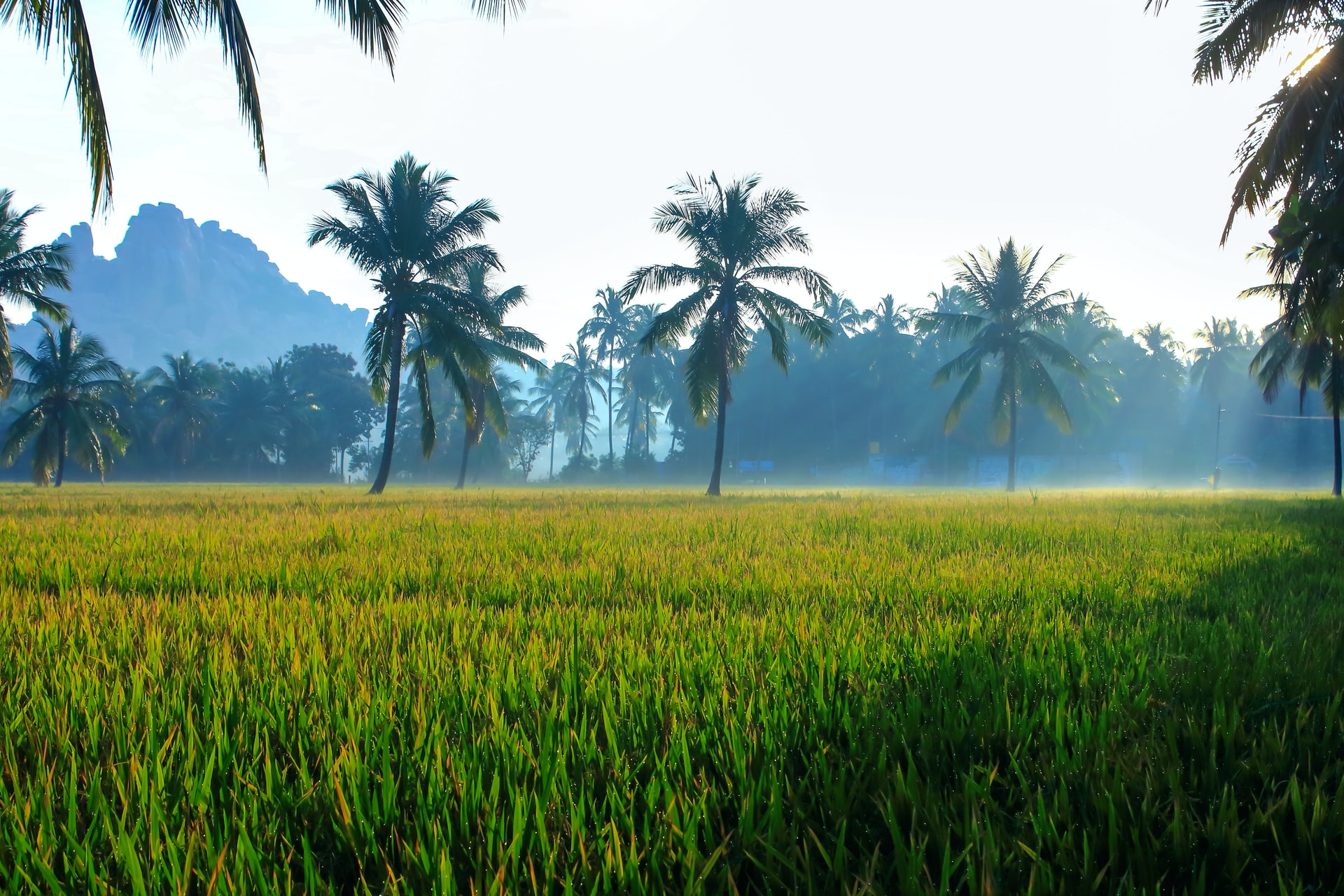 https://home.horasis.org/wp-content/uploads/2021/07/nandhu-kumar-03JtNfCubFw-unsplash-1.jpg