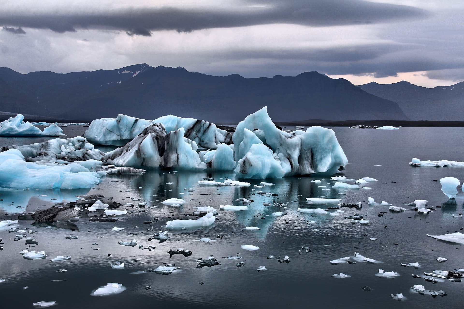 https://home.horasis.org/wp-content/uploads/2022/05/gian-reto-tarnutzer-d8ddeWAc4z4-unsplash.jpg