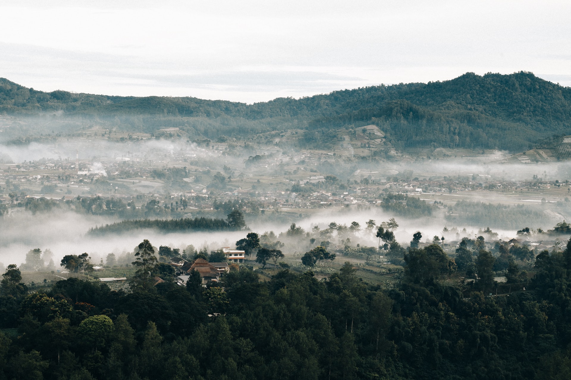 https://home.horasis.org/wp-content/uploads/2022/12/rifqi-ali-ridho-1ftrPzqRMTo-unsplash.jpg