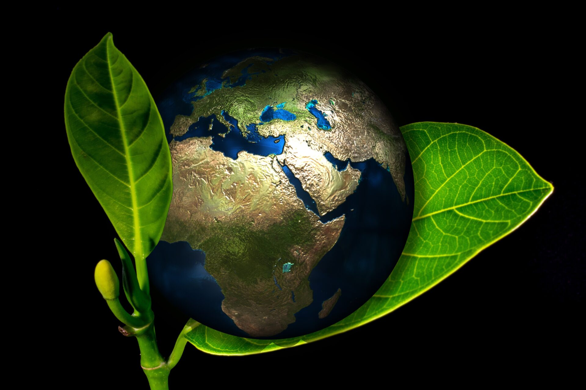 https://home.horasis.org/wp-content/uploads/earth-405096.jpg