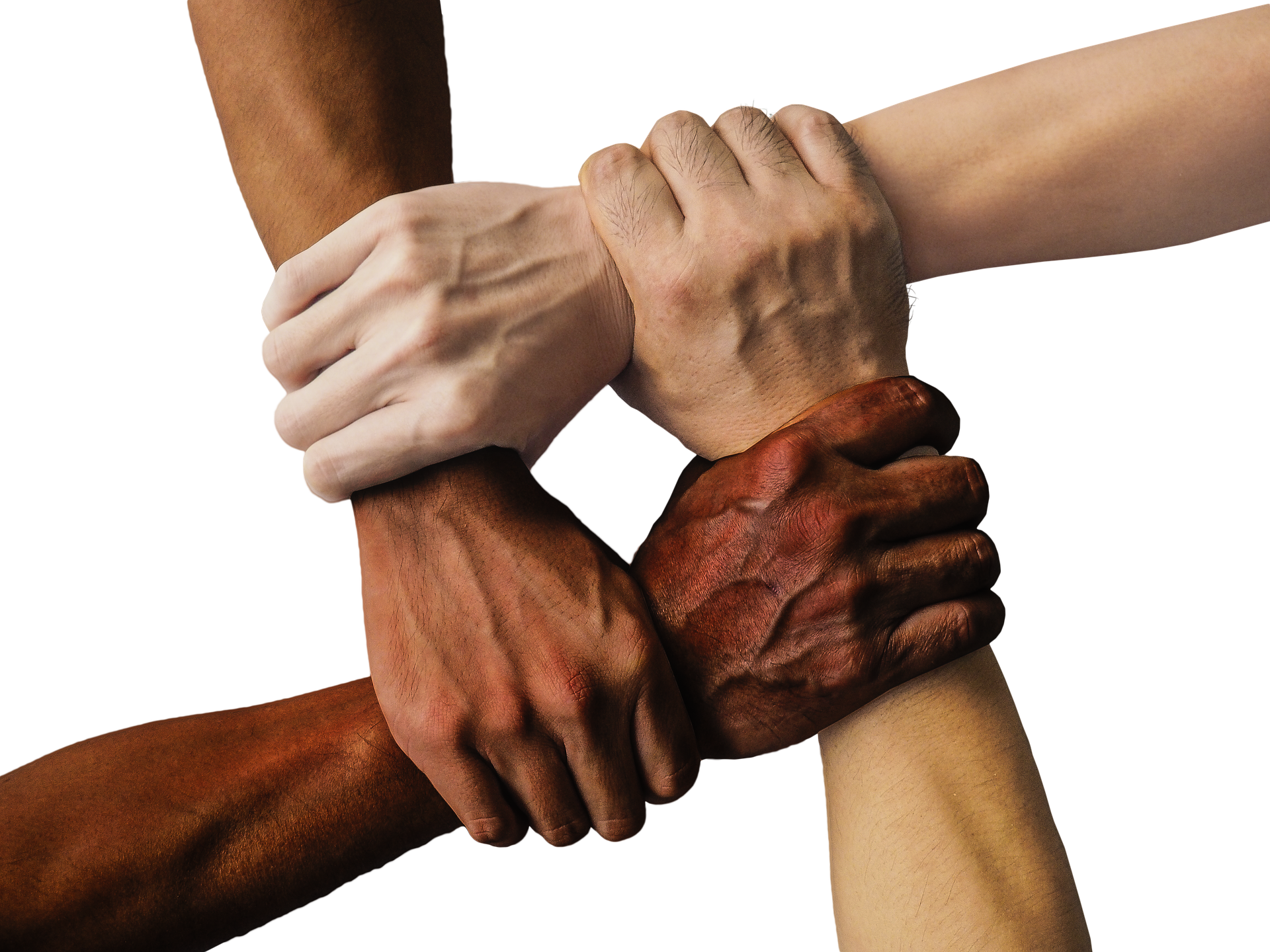 https://home.horasis.org/wp-content/uploads/hand-1917895_1920-1.png